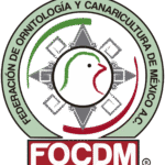 Logotipo FOCDM
